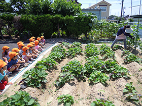 名古屋市緑区ひいらぎ保育園